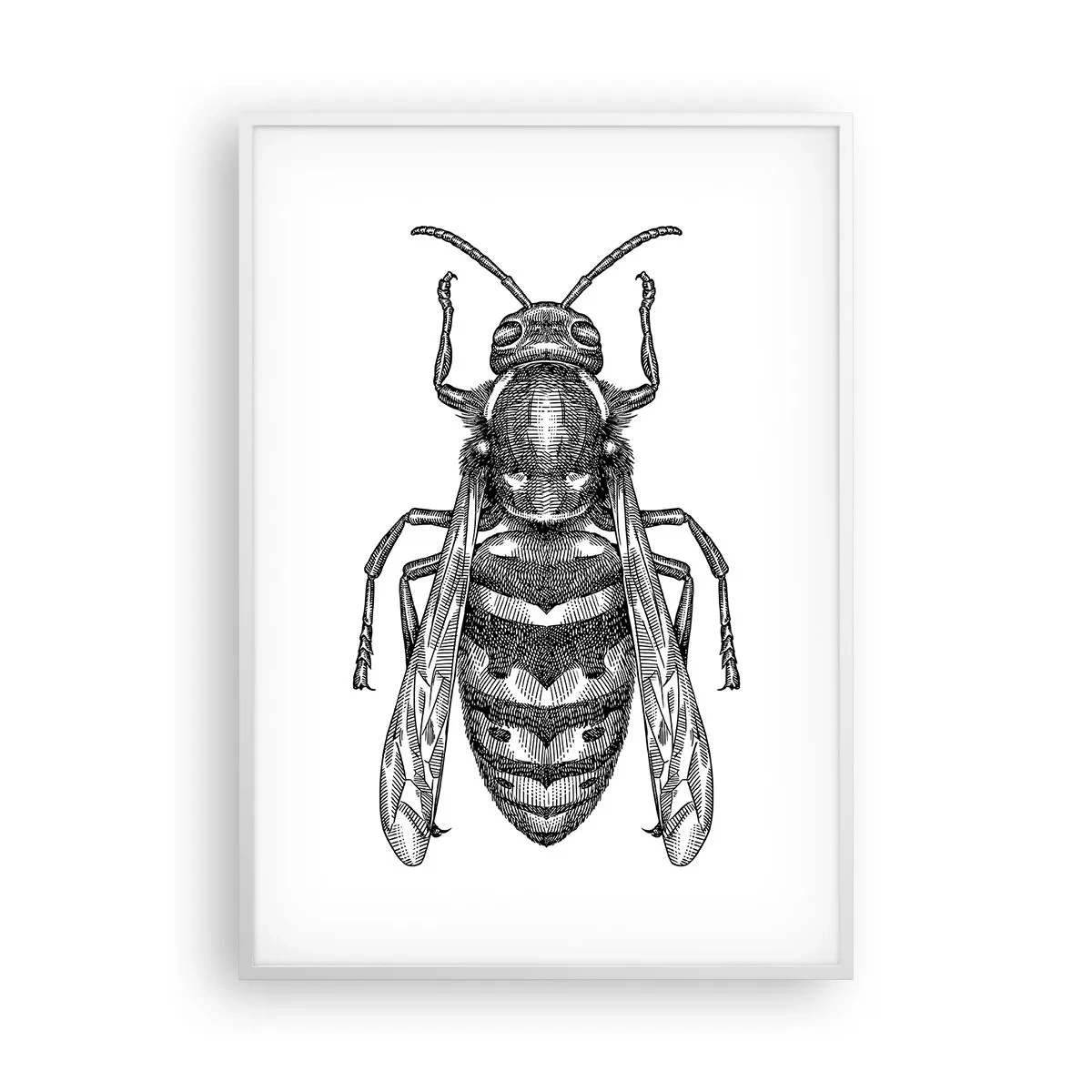 Poster in white frmae - From Insect Planet - 70x100 cm