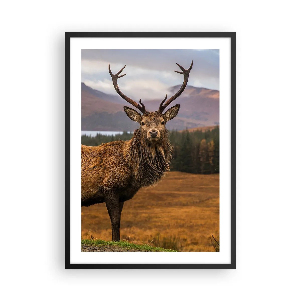 Poster in black frame - Photograph of a deer against a mountain landscape - 50x70cm - Majesty of Nature - Modern wall decoration for the living room and bedroom ARTTOR