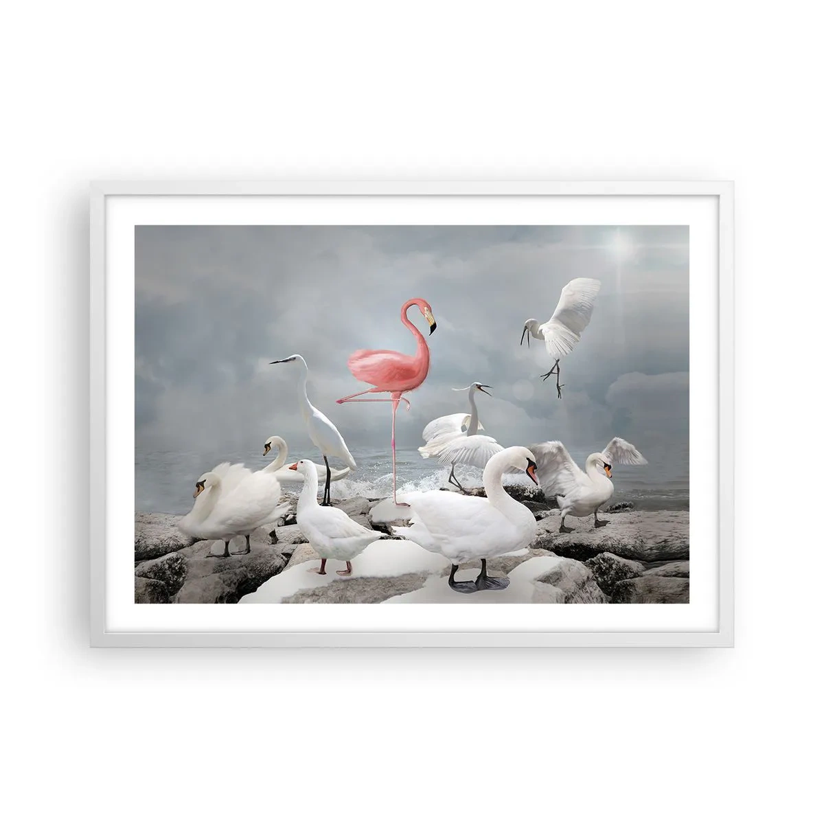 Poster in white frmae - Where Did I Come from? - 70x50 cm