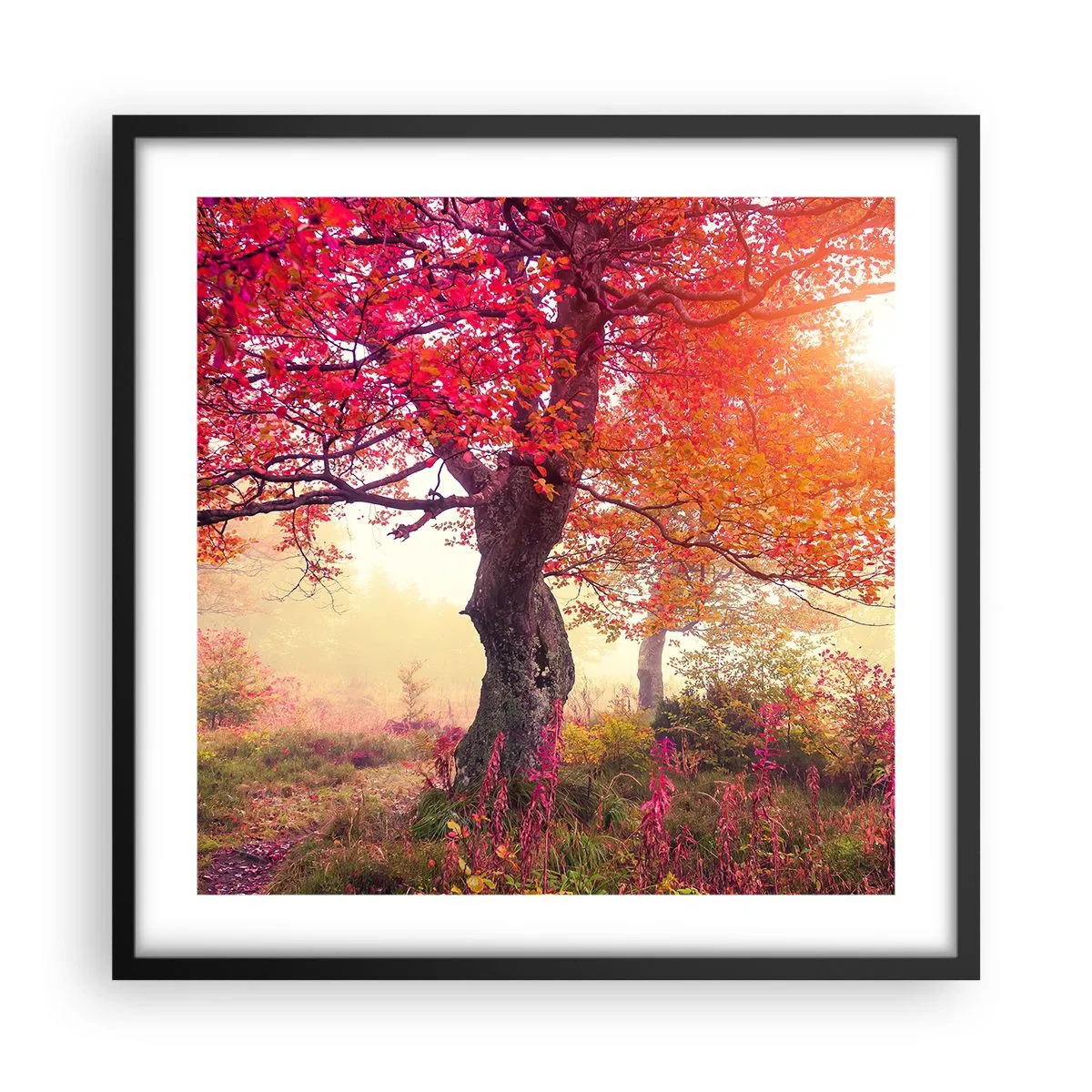 Poster in black frame - In Full Bloom - 50x50 cm