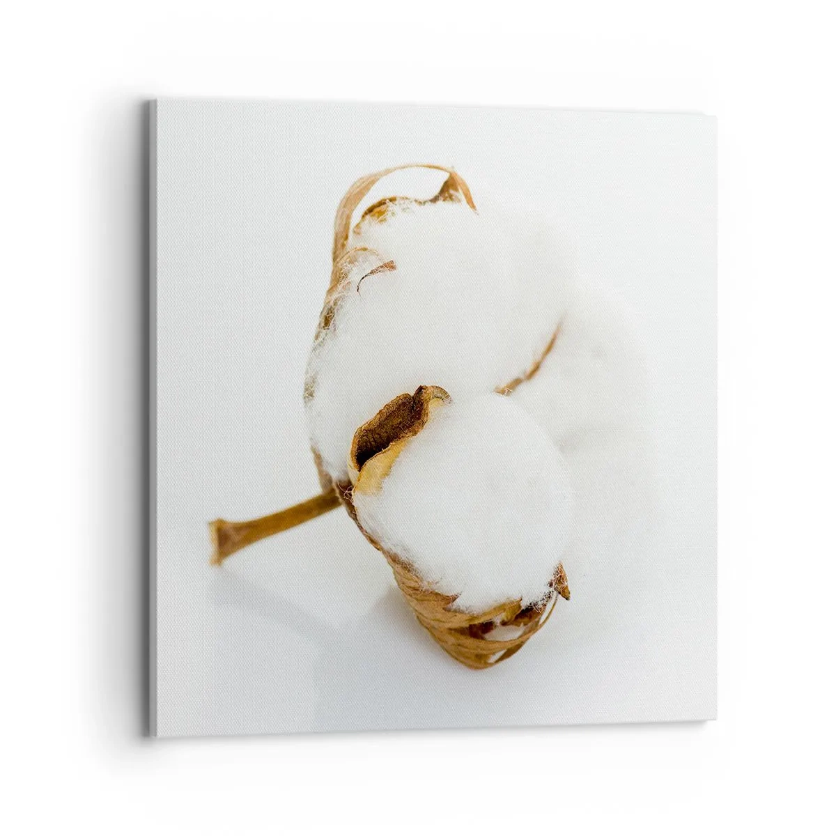 Canvas picture - Soft By Nature - 70x70 cm