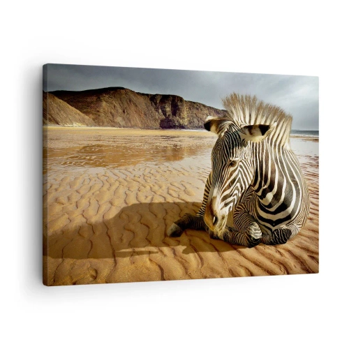 Canvas picture - A zebra resting on a sandy beach with cliffs in the background. - 70x50cm - We Suit Each Other - Modern wall decoration for the living room and bedroom ARTTOR
