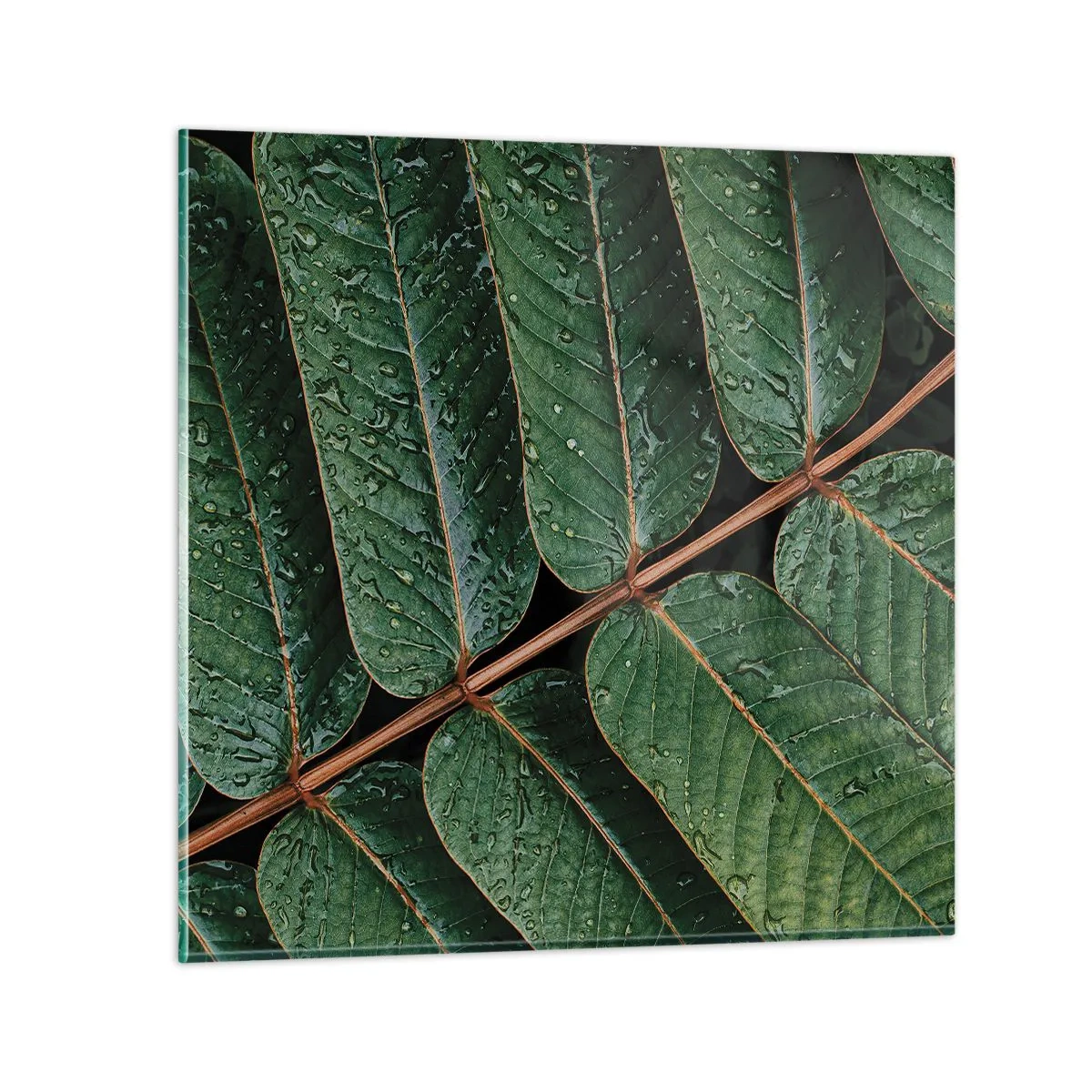 Glass picture - In Green Rhythm - 30x30 cm