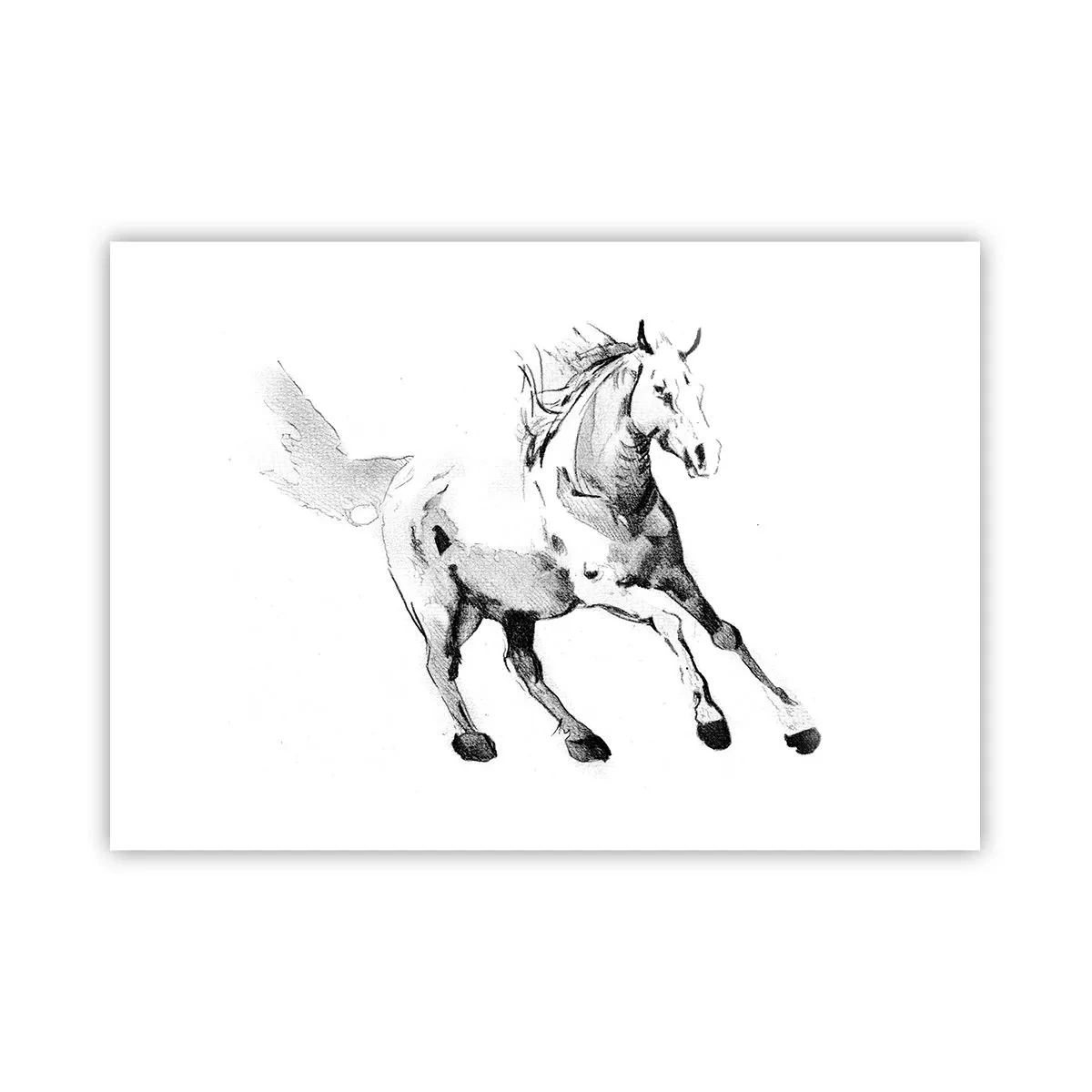 Poster - Untamed Soul - 100x70 cm