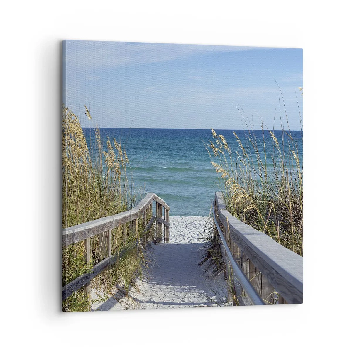 Canvas picture - In the Sun, out in the Wind - 60x60 cm