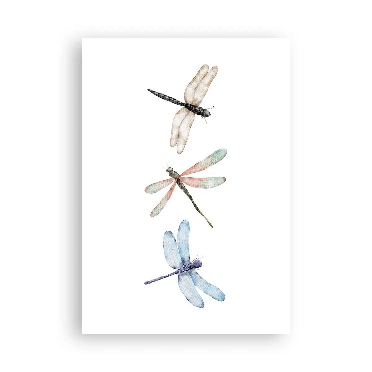 Poster - Lightness of Dragonflies - 70x100 cm