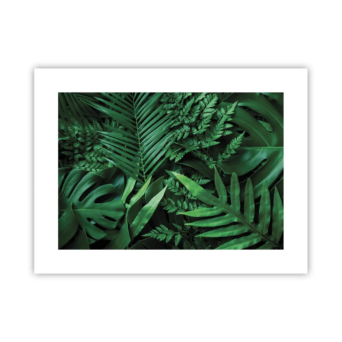 Poster - In a Green Hug - 40x30 cm