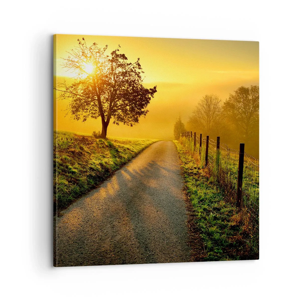 Canvas picture - Honey Afternoon - 60x60 cm