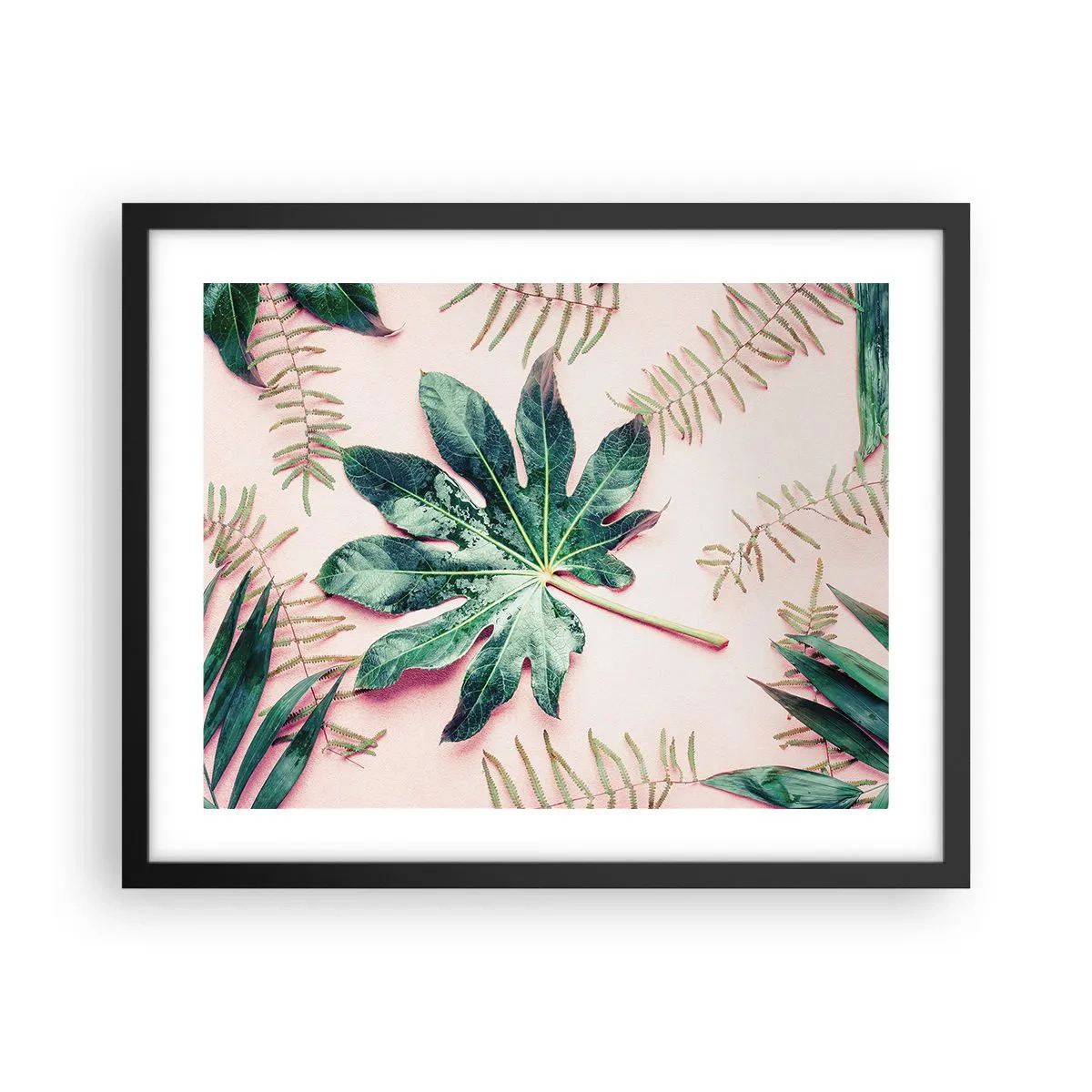 Poster in black frame - Study in Green on Pink Background - 50x40 cm