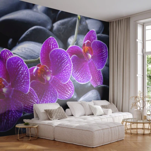 Photo Wallpaper Standard Eco - Stones Shining with Awe - Flowers, Stones, Orchid - 250x175 cm