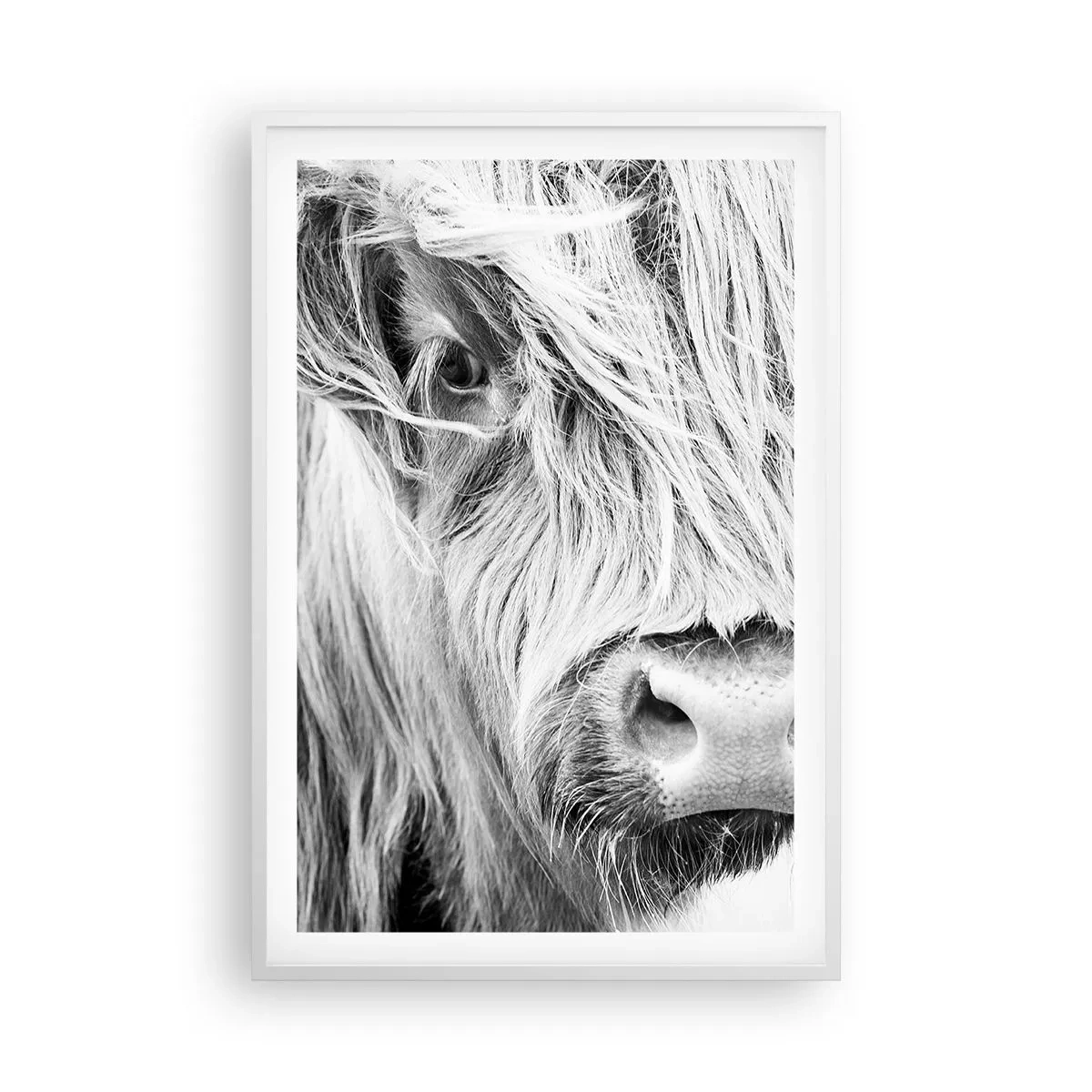 Poster in white frmae - Scottish Wilderness - 61x91 cm