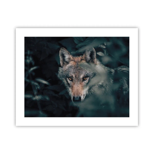 Poster - Hunter - 50x40 cm
