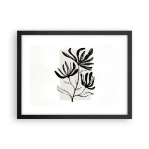 Poster in black frame - Sketch for a Herbarium - 40x30 cm