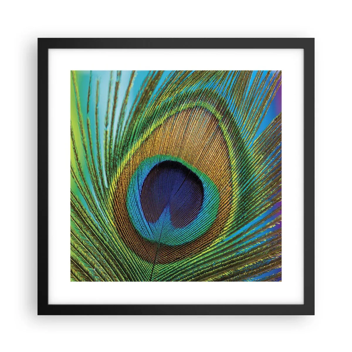 Poster in black frame - Eye to Eye - 40x40 cm