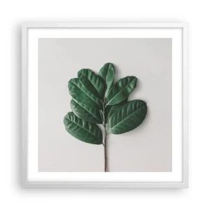 Poster in white frmae - Drawing of Nature Itself - 50x50 cm