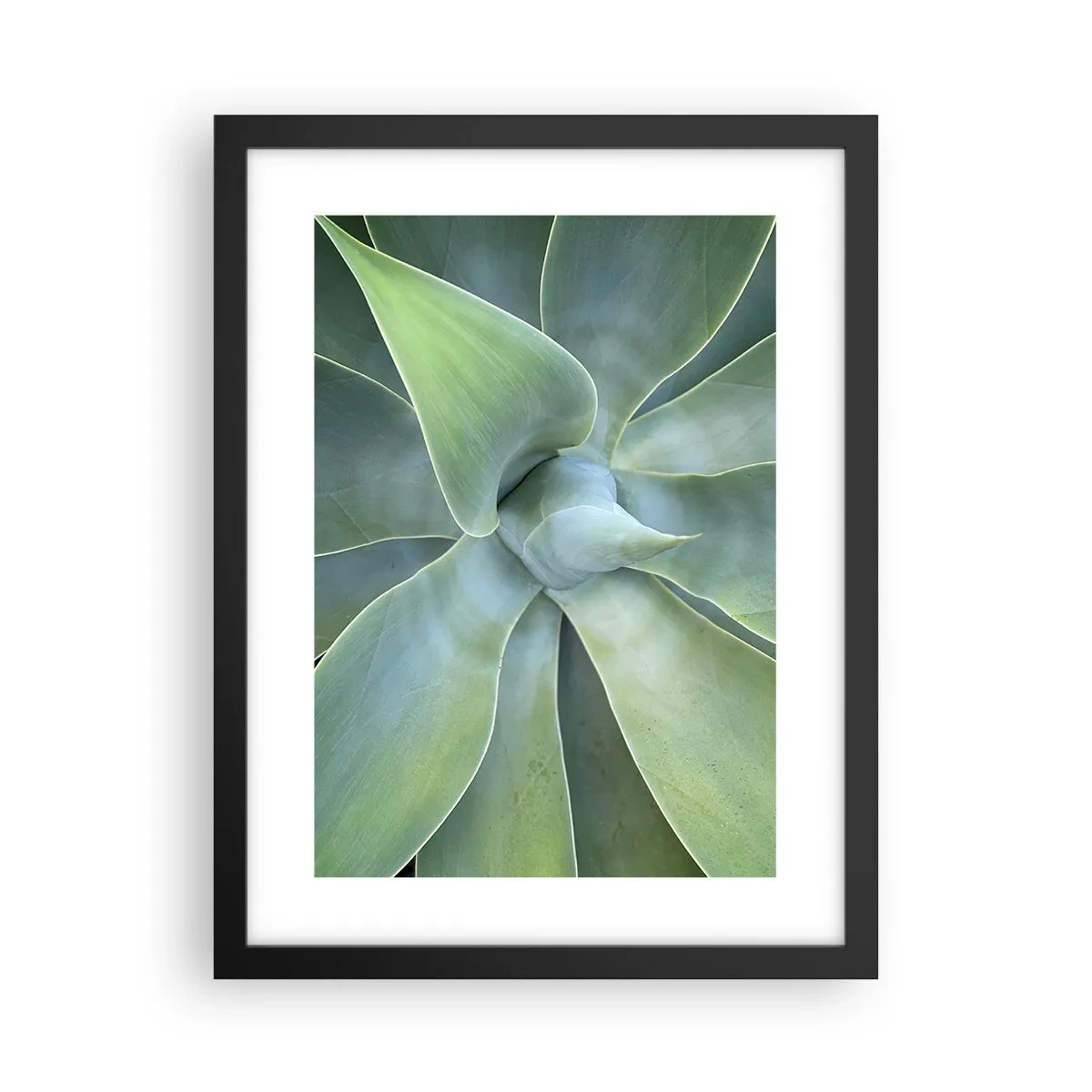 Poster in black frame - Birth of Green - 30x40 cm