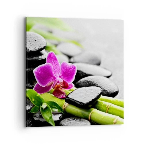 Canvas picture - In a Peaceful Balance - 70x70 cm