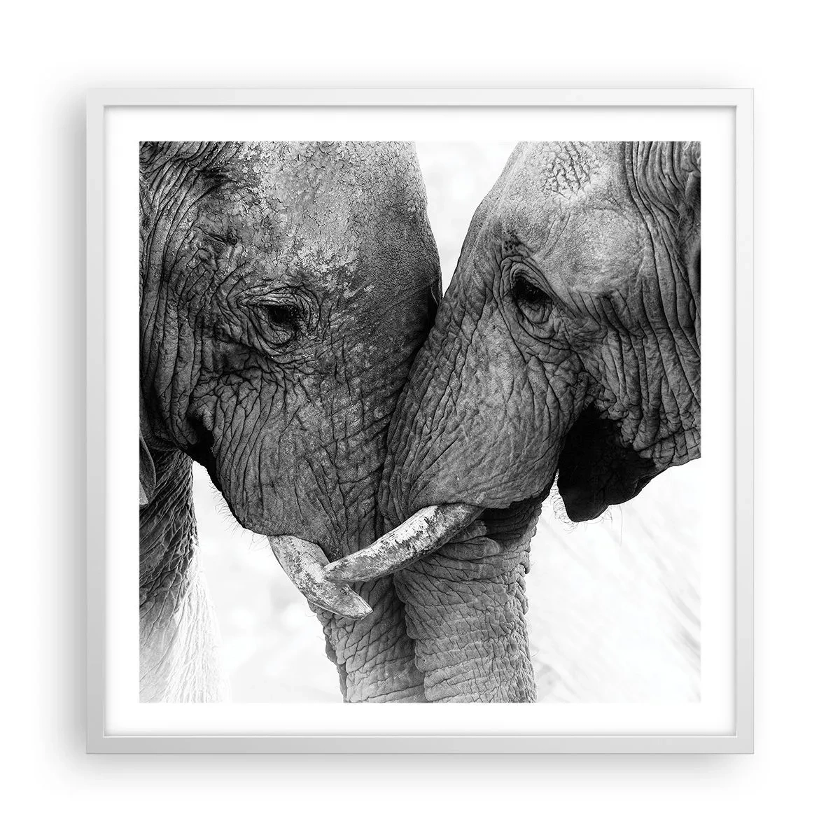 Poster in white frmae - Hearty Confession - 60x60 cm