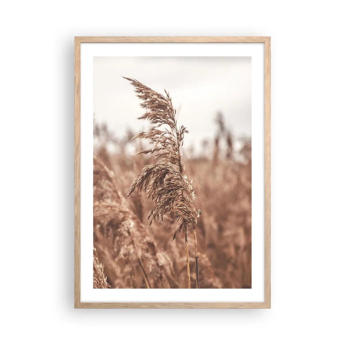 Poster in light oak frame - Autumn Has Arrived in the Fields - 50x70 cm