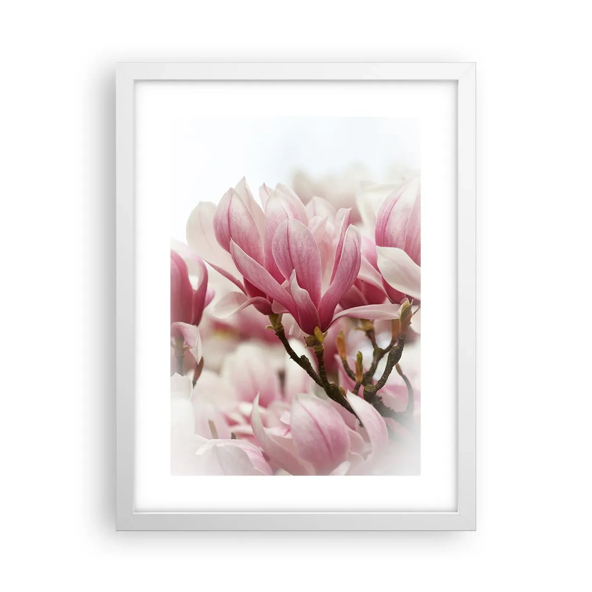 Poster in white frmae - Spring Flowers - 30x40 cm