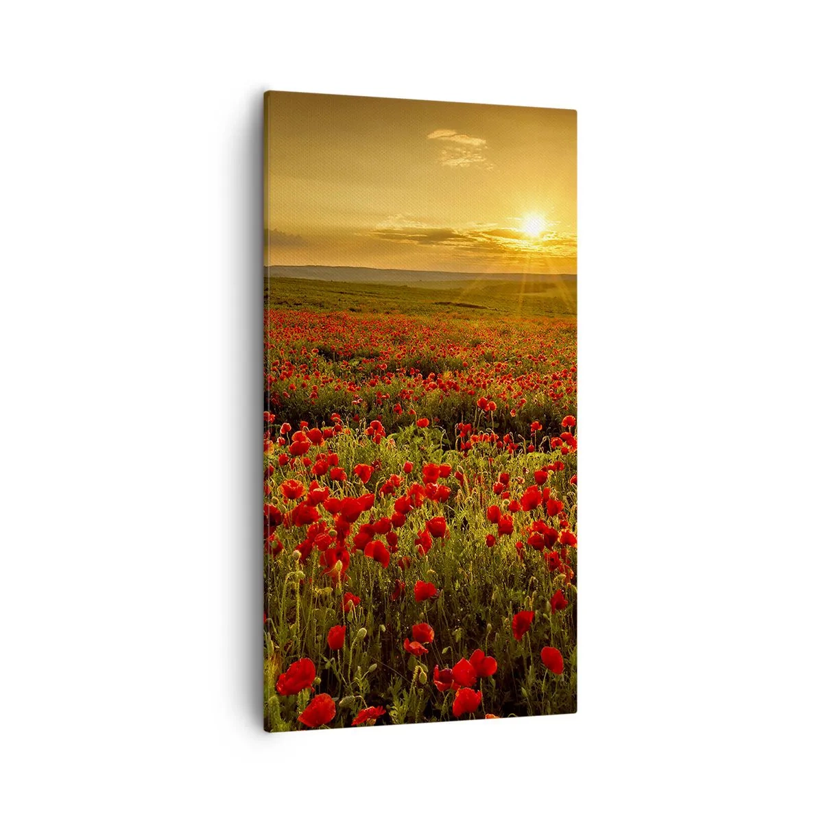 Canvas picture - In the Meadow, among Flood of Flowers - 55x100 cm