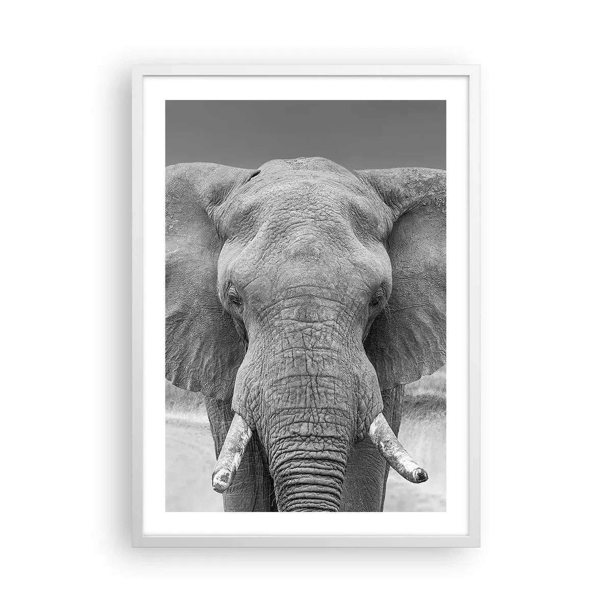 Poster in white frmae - Welcome to My World - 50x70 cm