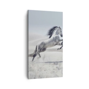 Canvas picture - Arabic Prince - 45x80 cm