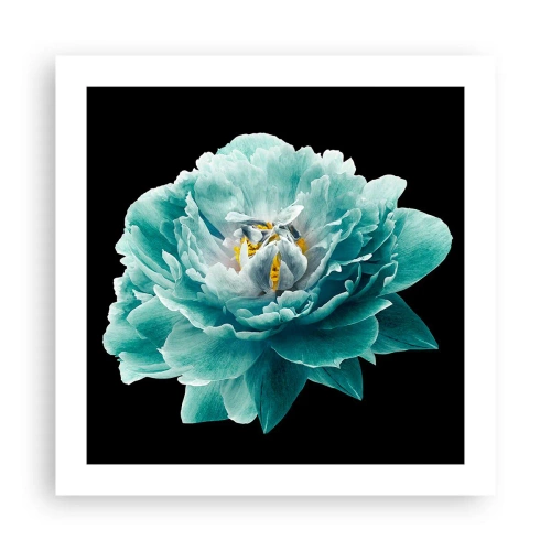 Poster - Blue and Gold Petals - 50x50 cm