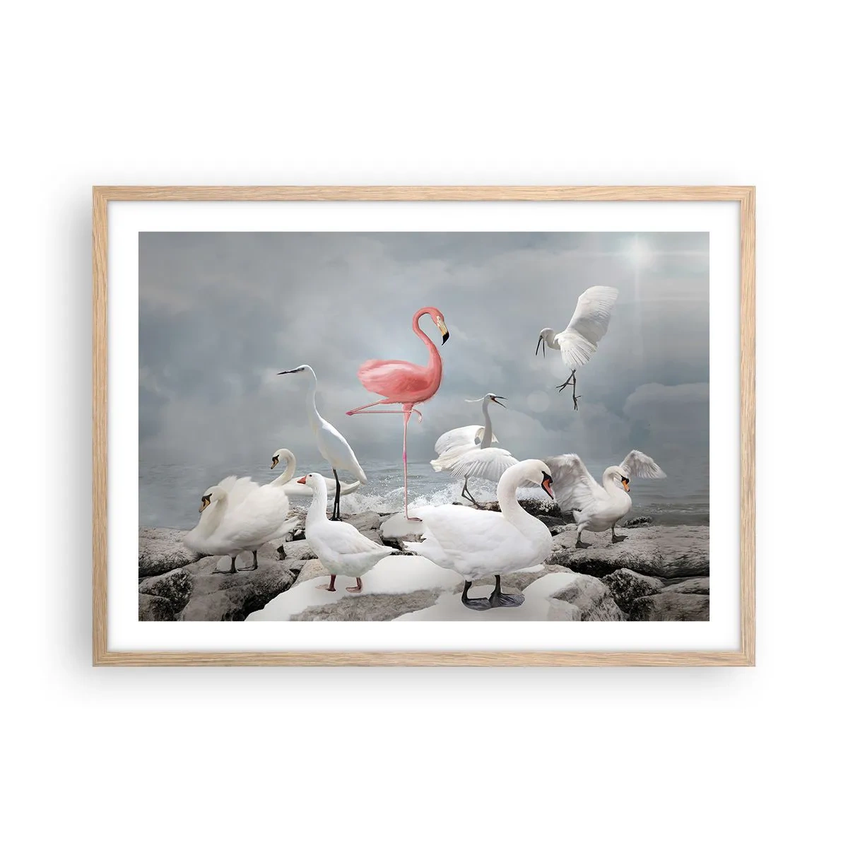 Poster in light oak frame - Where Did I Come from? - 70x50 cm