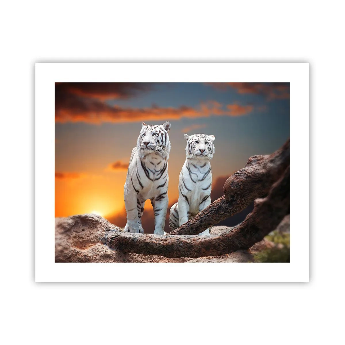 Poster - Just Like in Narnia - 50x40 cm