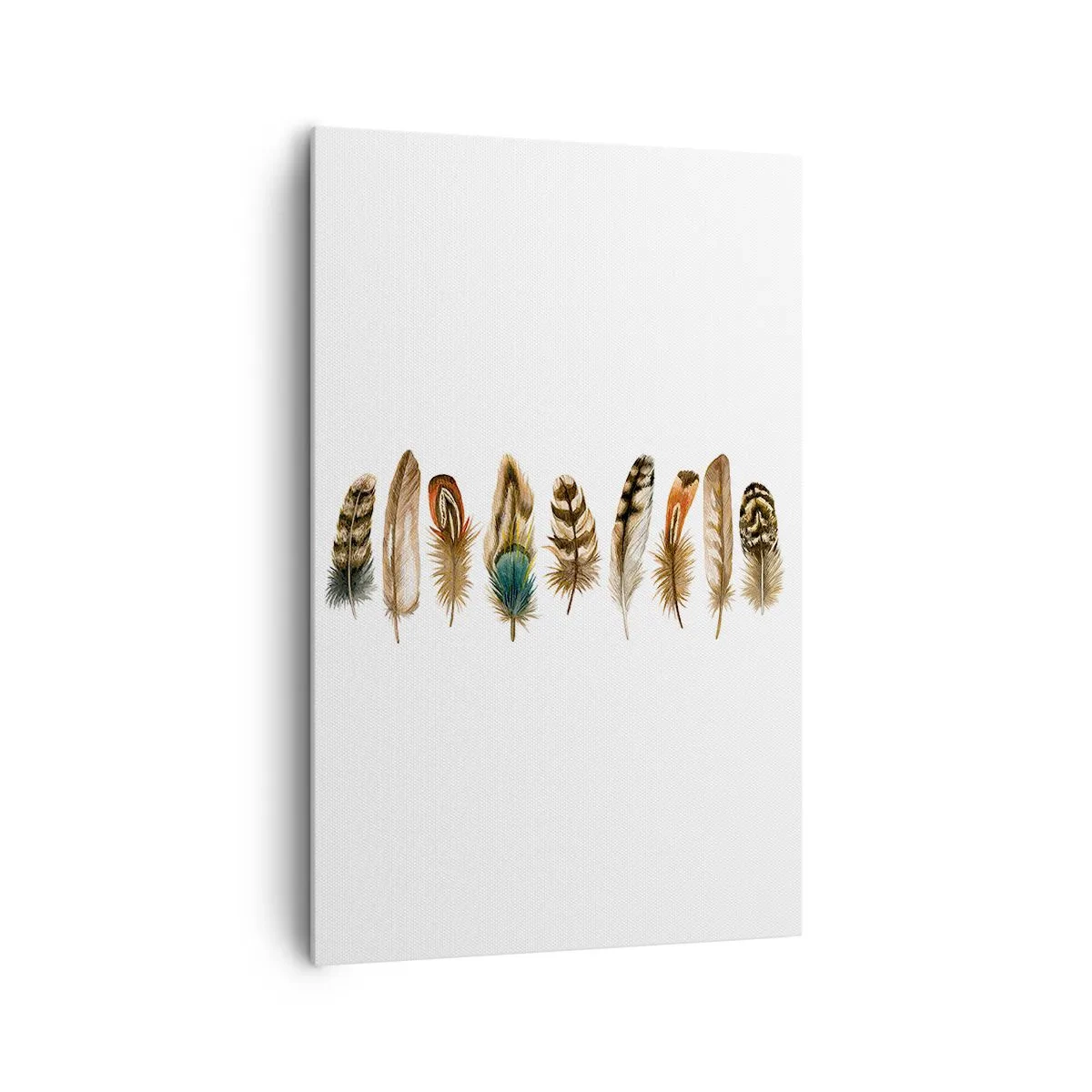 Canvas picture - Feather Variation - 80x120 cm