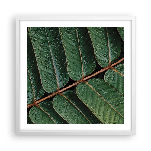 Poster in white frmae - In Green Rhythm - 50x50 cm