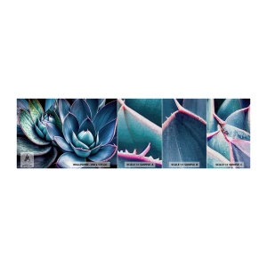 Photo Wallpaper Sample Premium Sand - Vital Strength - Flowers, Botany, Succulents - 100x30 cm