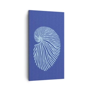 Canvas picture - Birth of a Shell - 45x80 cm