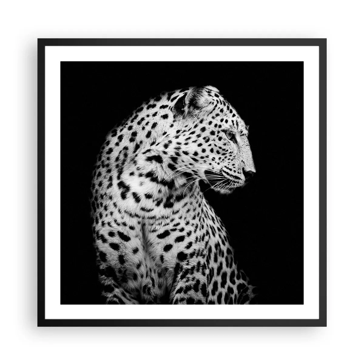 Poster in black frame - A Perfect Right Profile  - 60x60 cm