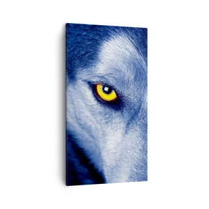 Canvas picture - Mesmerising Look - 45x80 cm