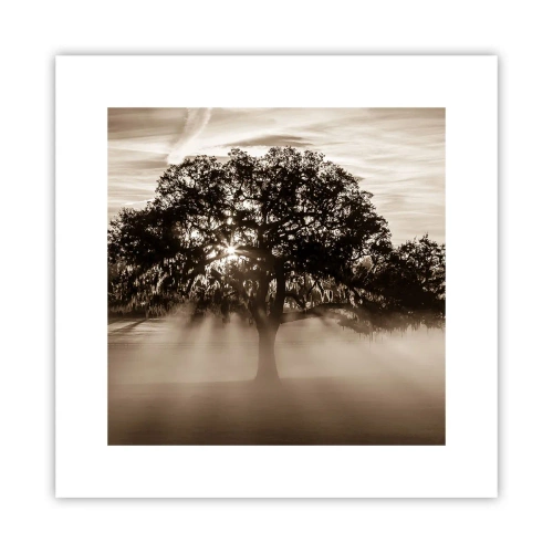 Poster - Tree of Good Knowledge - 30x30 cm