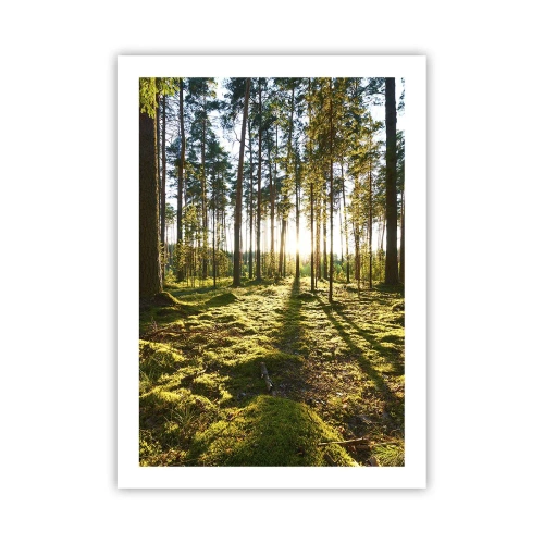 Poster - Deep in the Forest - 50x70 cm