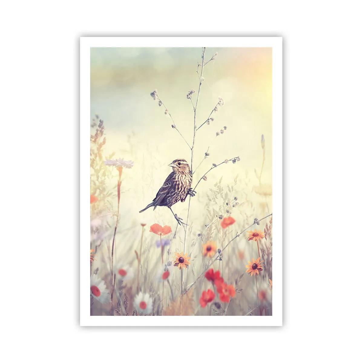 Poster - Bird Portrait with a Meadow in the Background - 70x100 cm