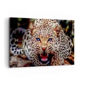 Canvas picture - Angry but Still Beautiful - 120x80 cm