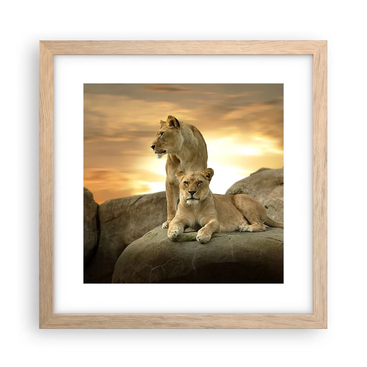 Poster in light oak frame - Royal Majesty - 30x30 cm