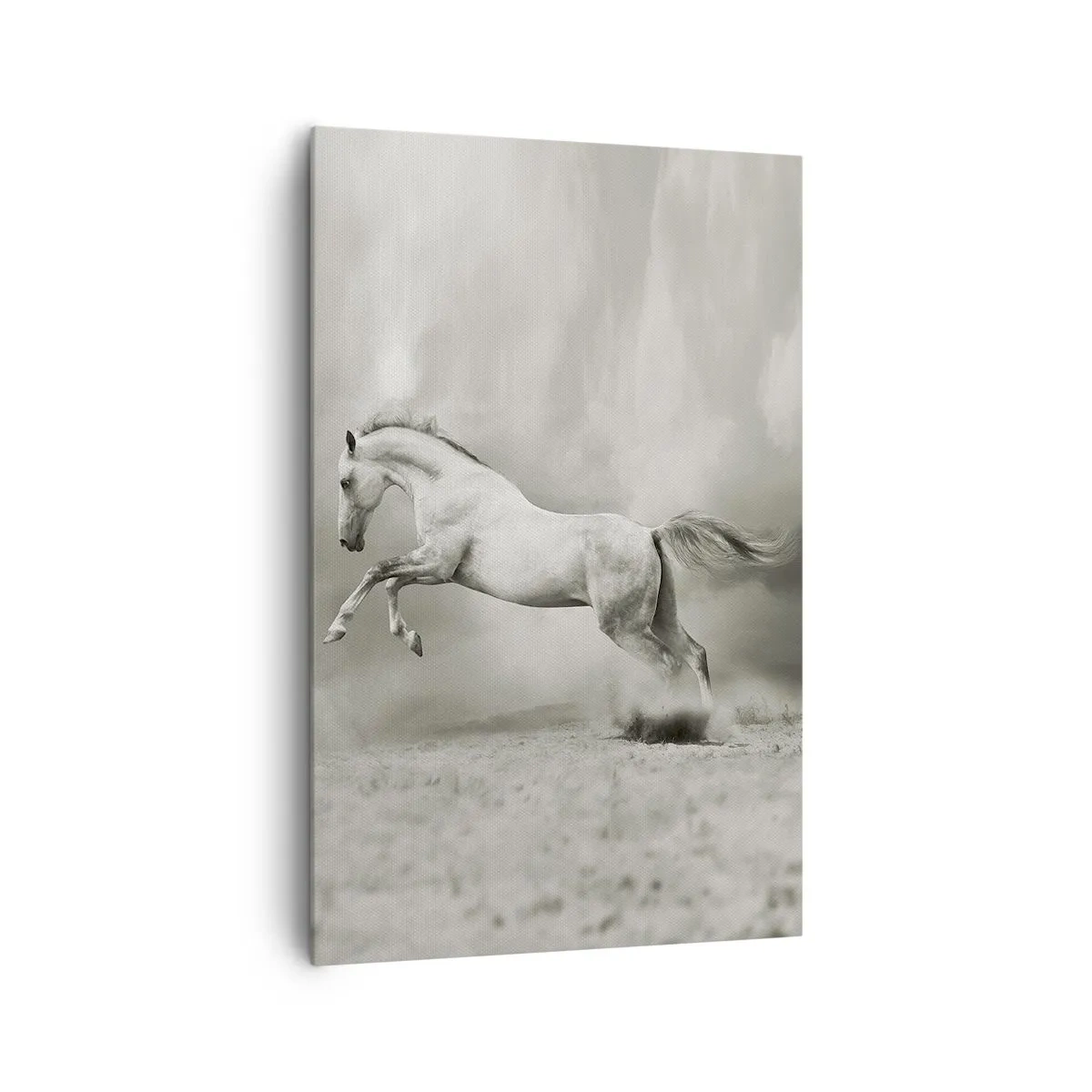 Canvas picture - Between Dream and Reality - 80x120 cm