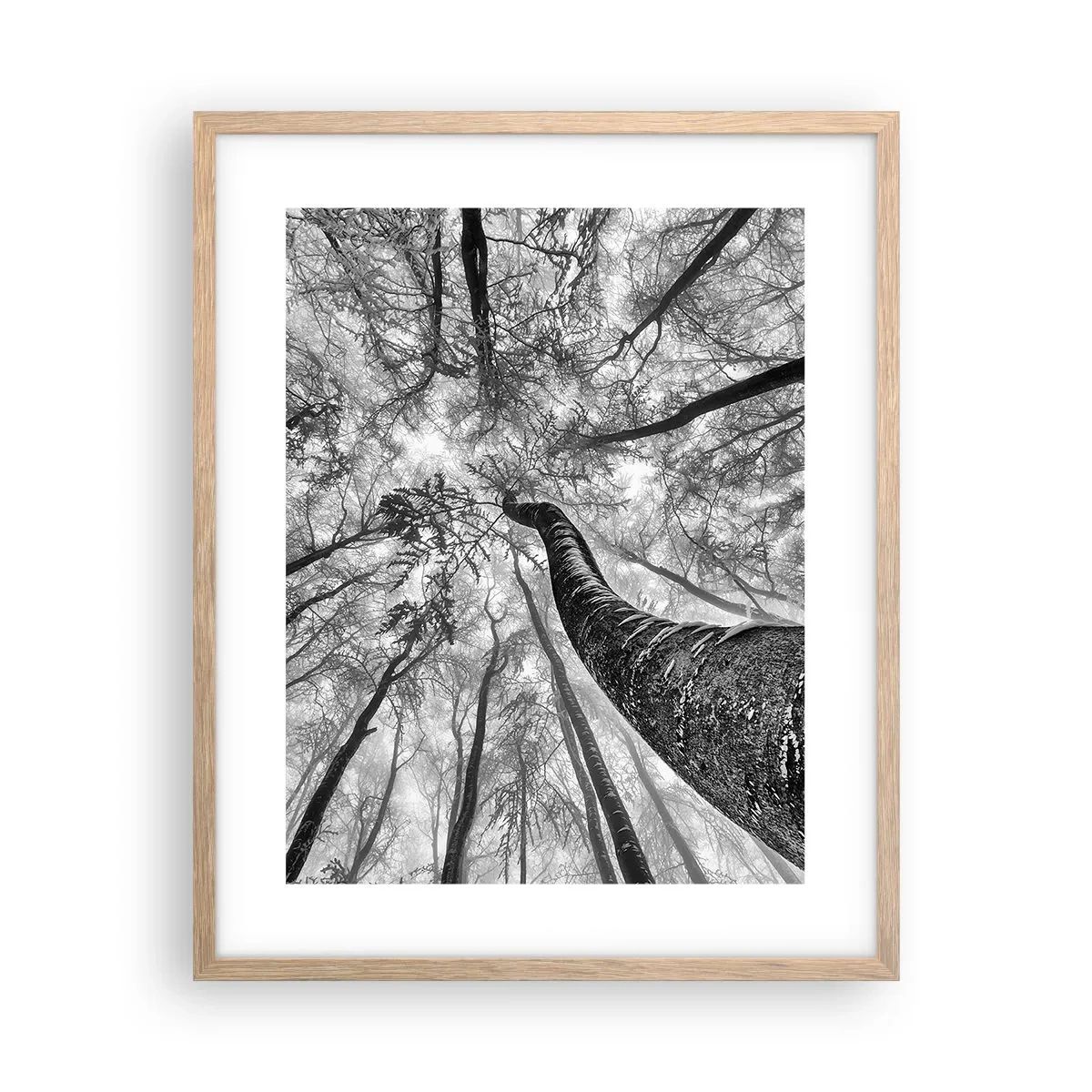 Poster in light oak frame - Race for the Light - 40x50 cm