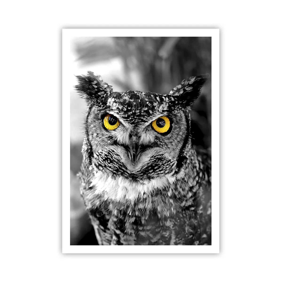 Poster - Nothing Can Hide - 70x100 cm