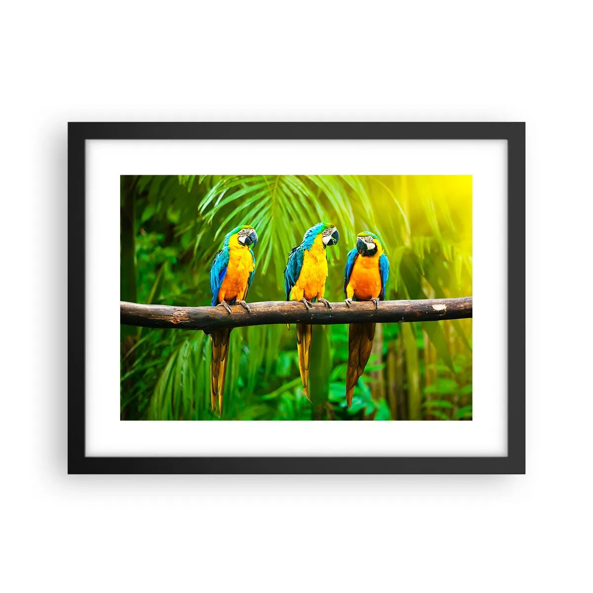 Poster in black frame - Did You Hear that She…? - 40x30 cm