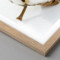 Light Oak