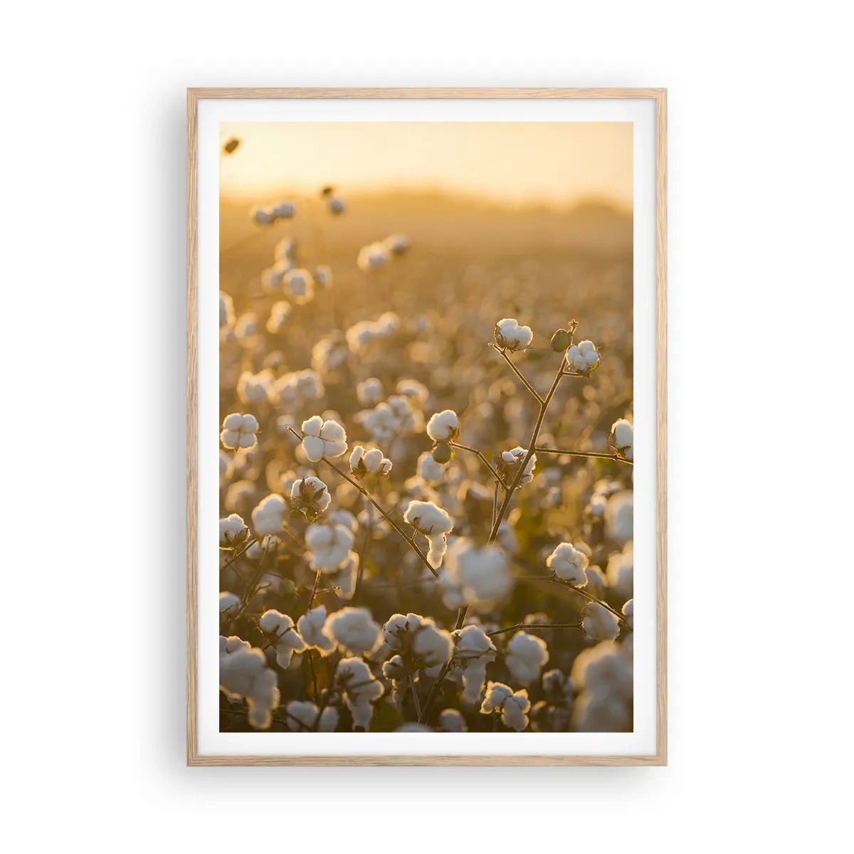 Poster in light oak frame - Fluffy Field - 70x100 cm