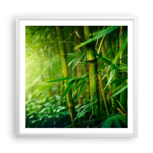 Poster in white frmae - Getting to Know the Green - 60x60 cm