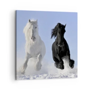 Canvas picture - Black and White Gallop - 60x60 cm