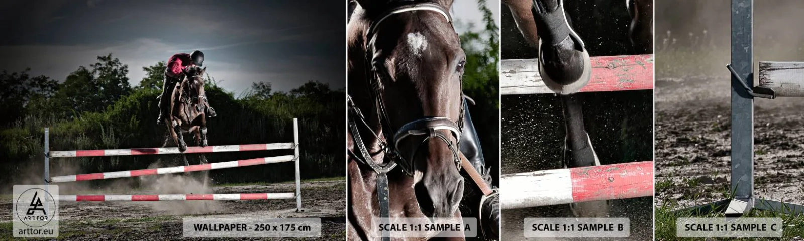 Photo Wallpaper Sample Standard Eco - Together for Victory - Animals, Horse, Sport - 100x30 cm